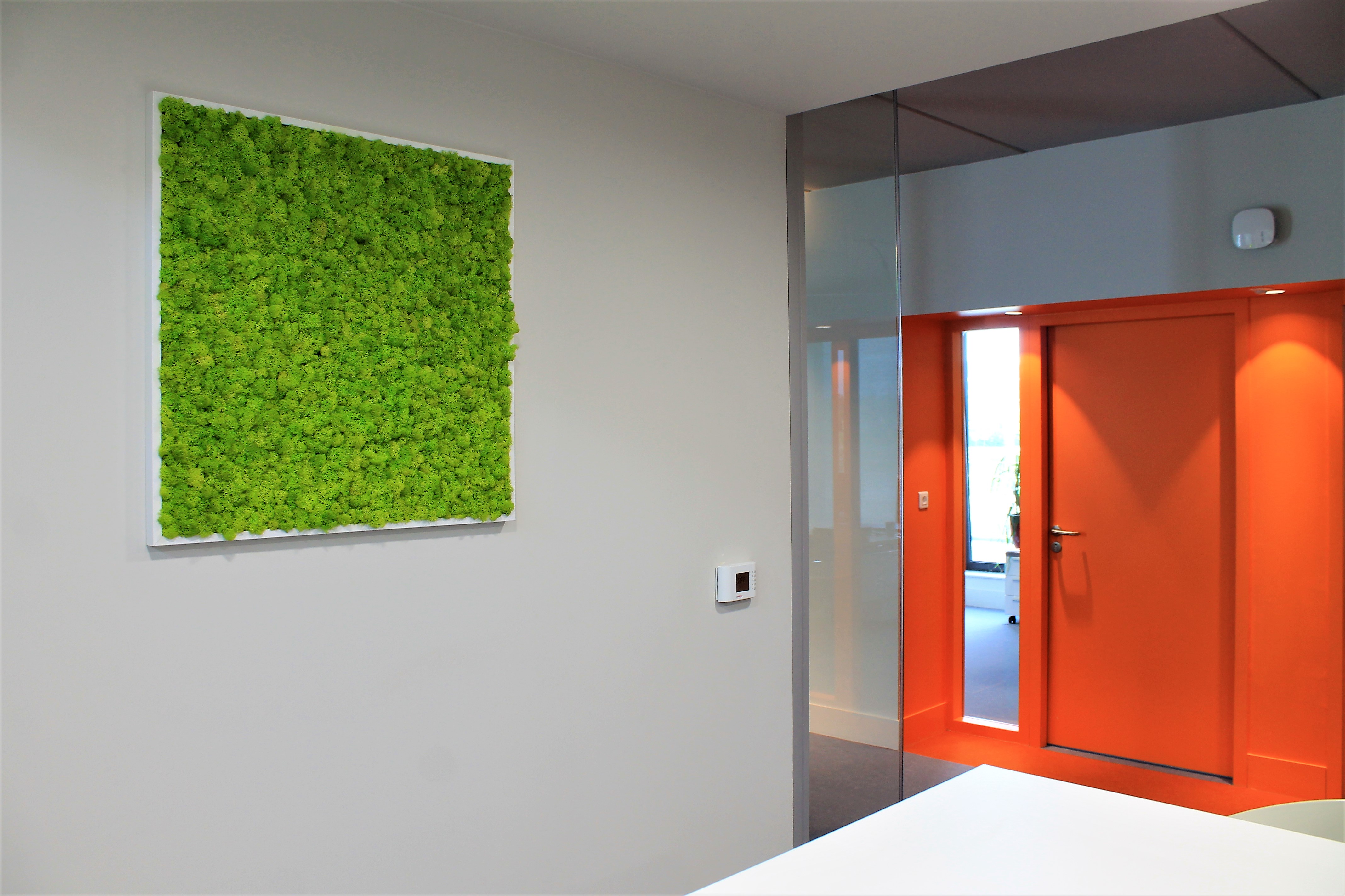 Jardin vertical réalisé Inoffice