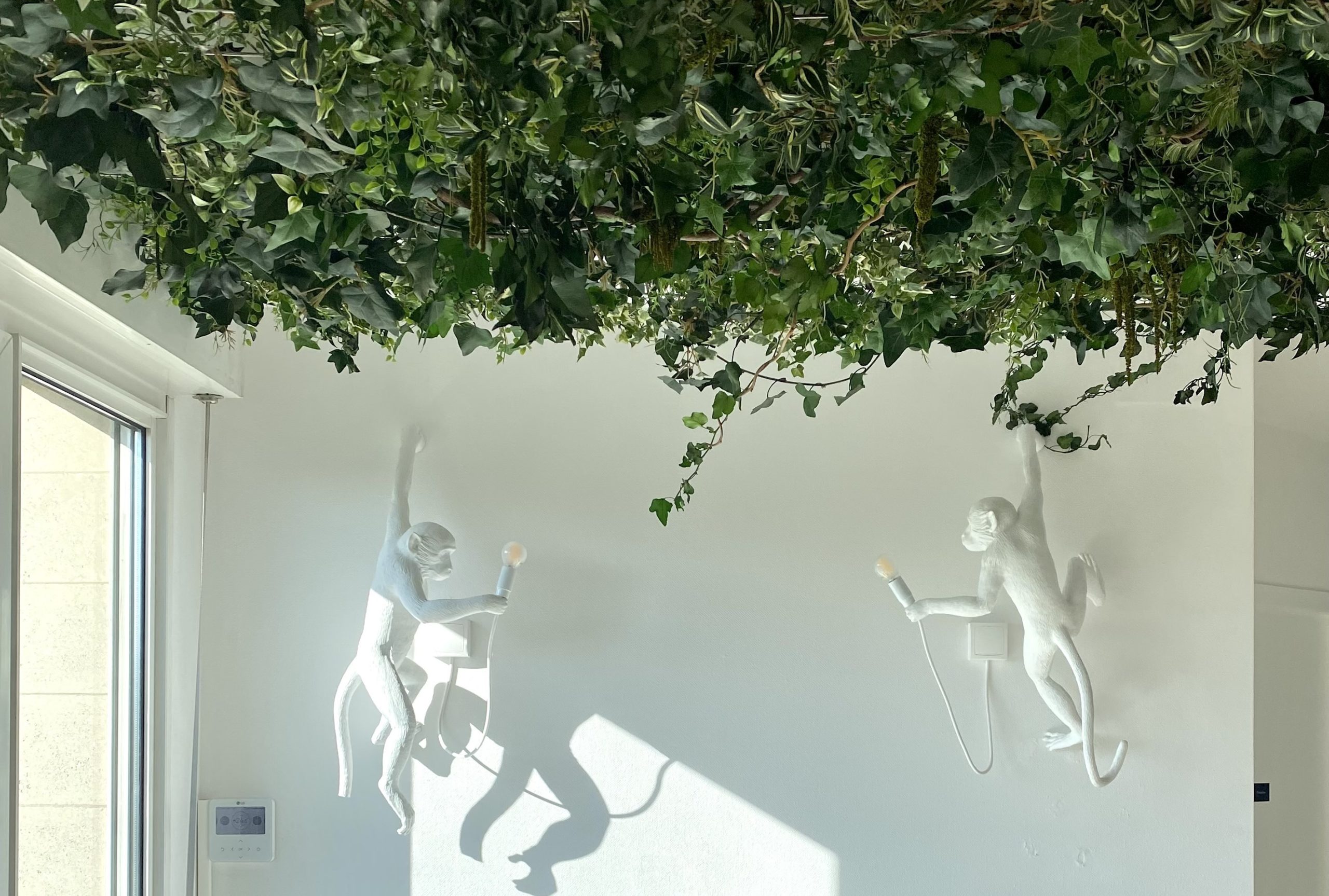 Accompagnement jardins suspendus Inoffice
