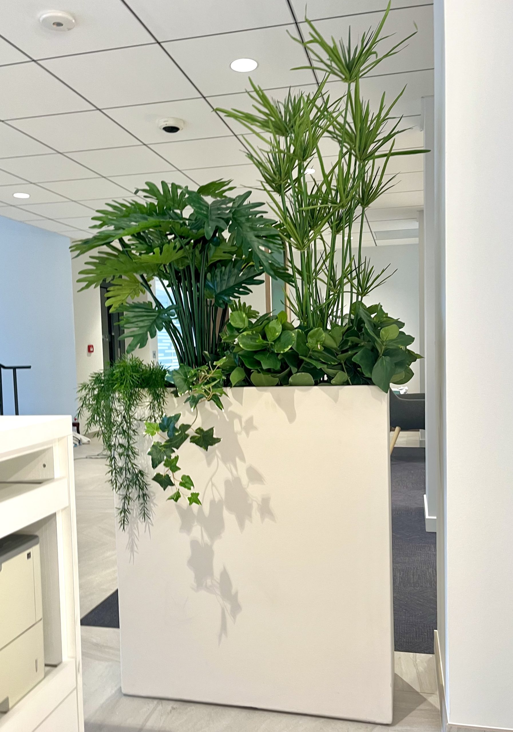 Jardinière réalisée Inoffice