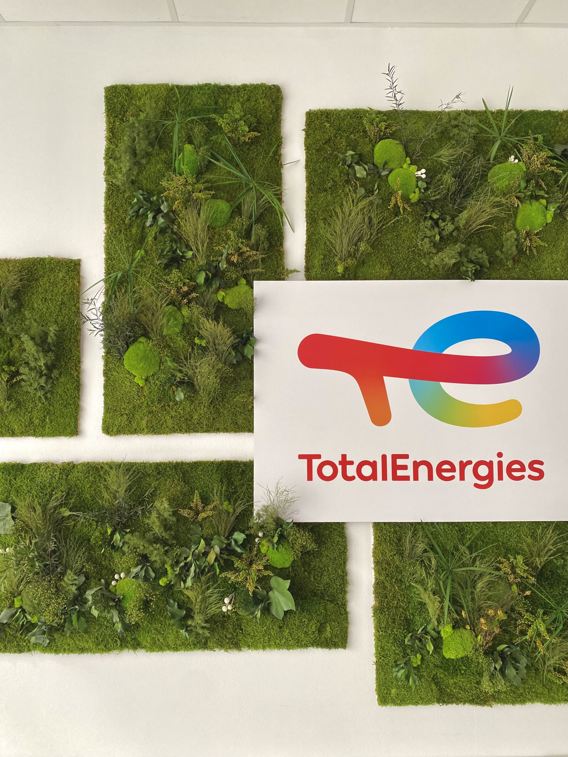 Logo végétal en salle de réunion