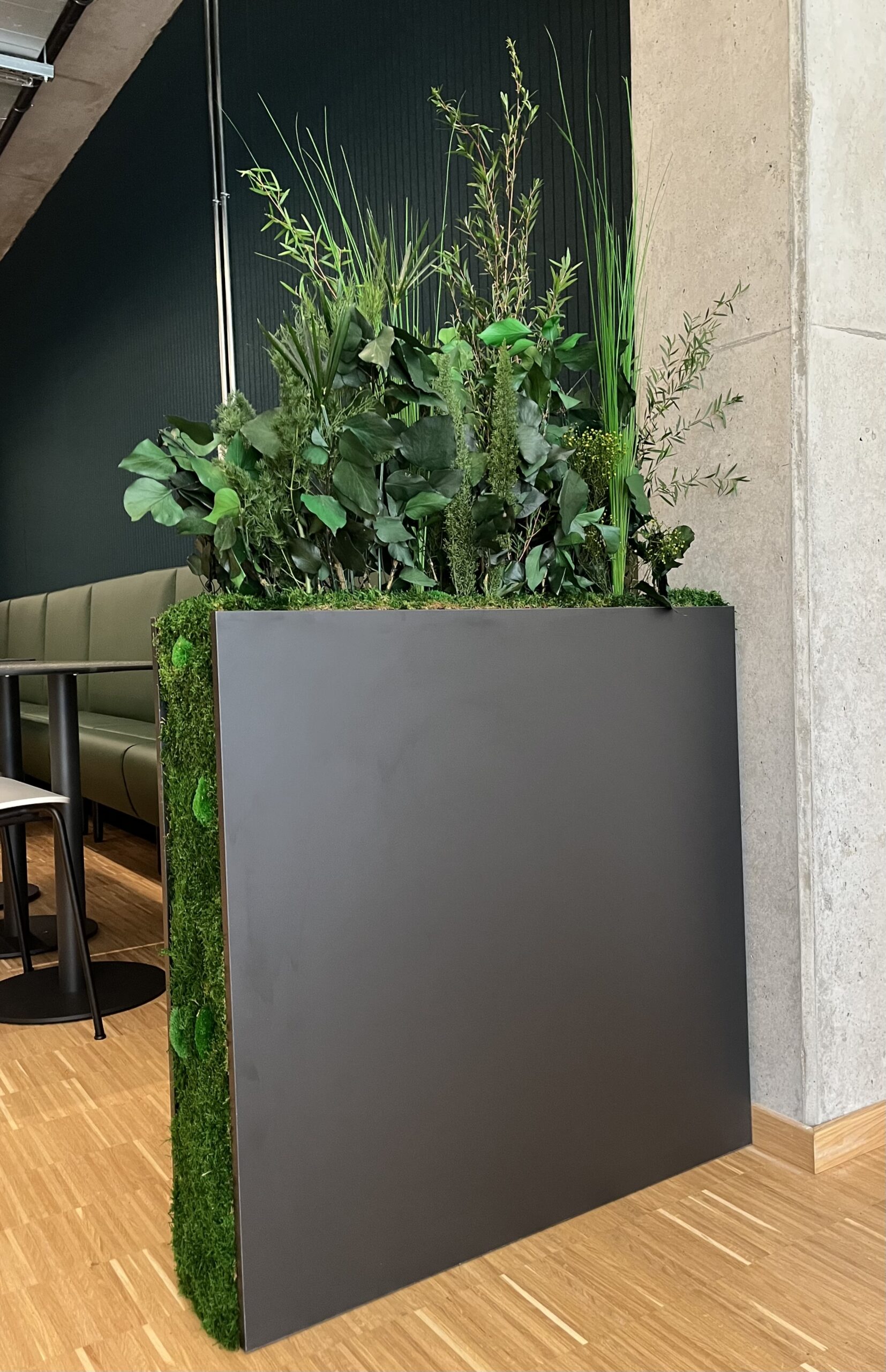 Jardinière en open space