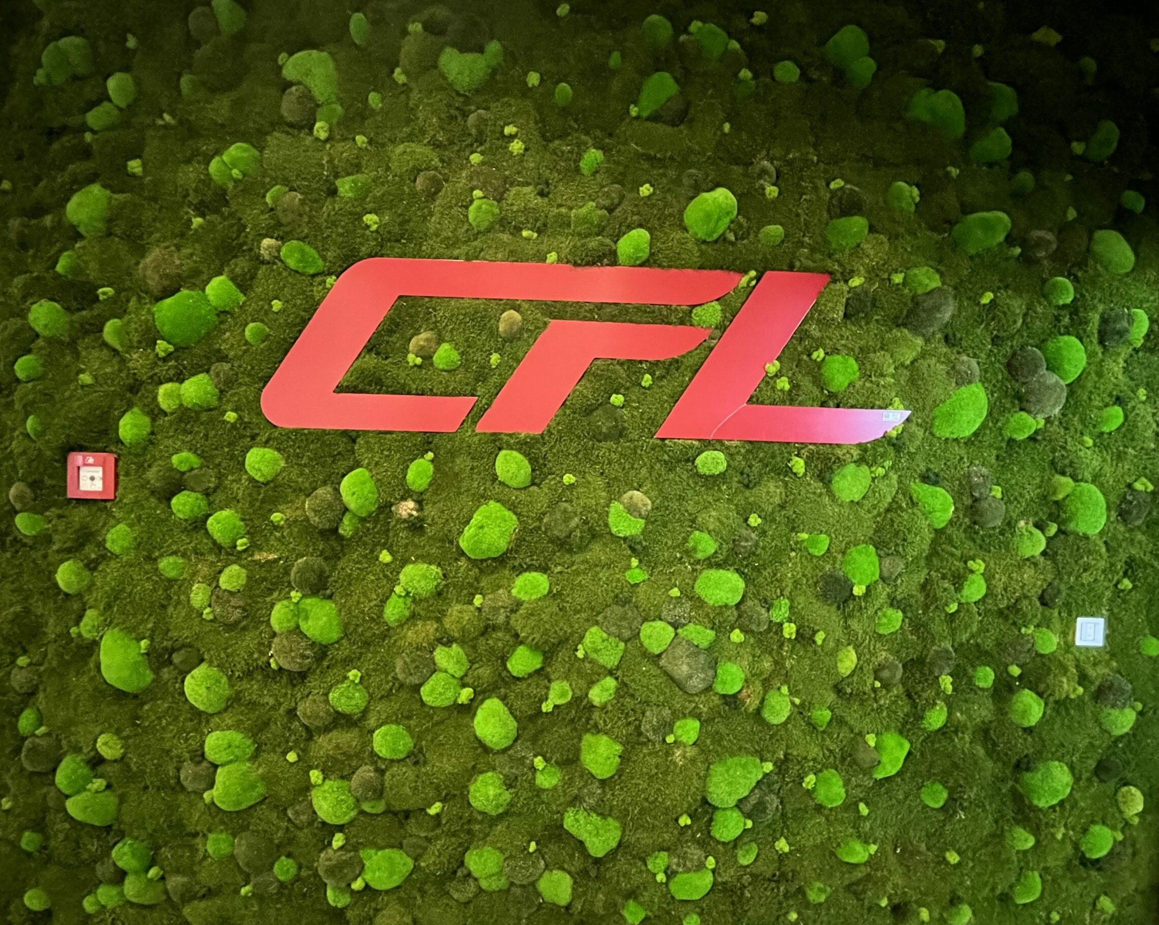 Logo végétal Inoffice