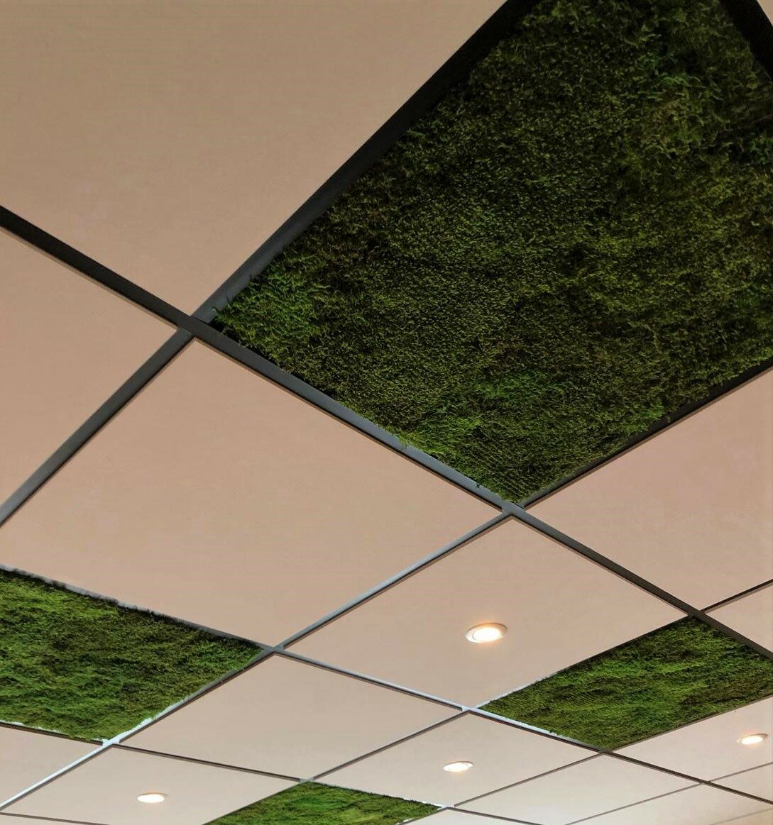 Jardin suspendu végétal stabilisé hôtel restaurant — France