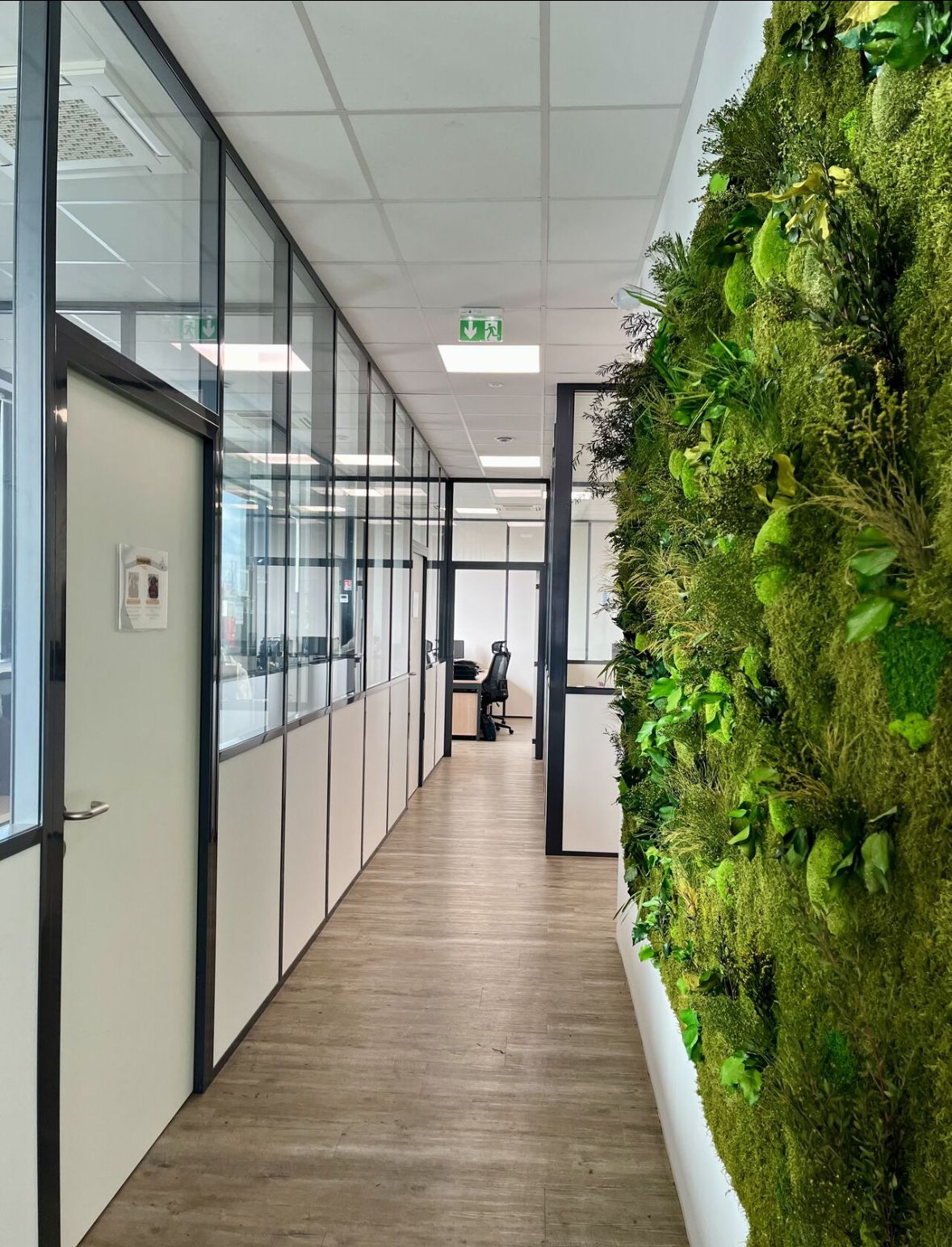 Mur végétal réalisé Inoffice